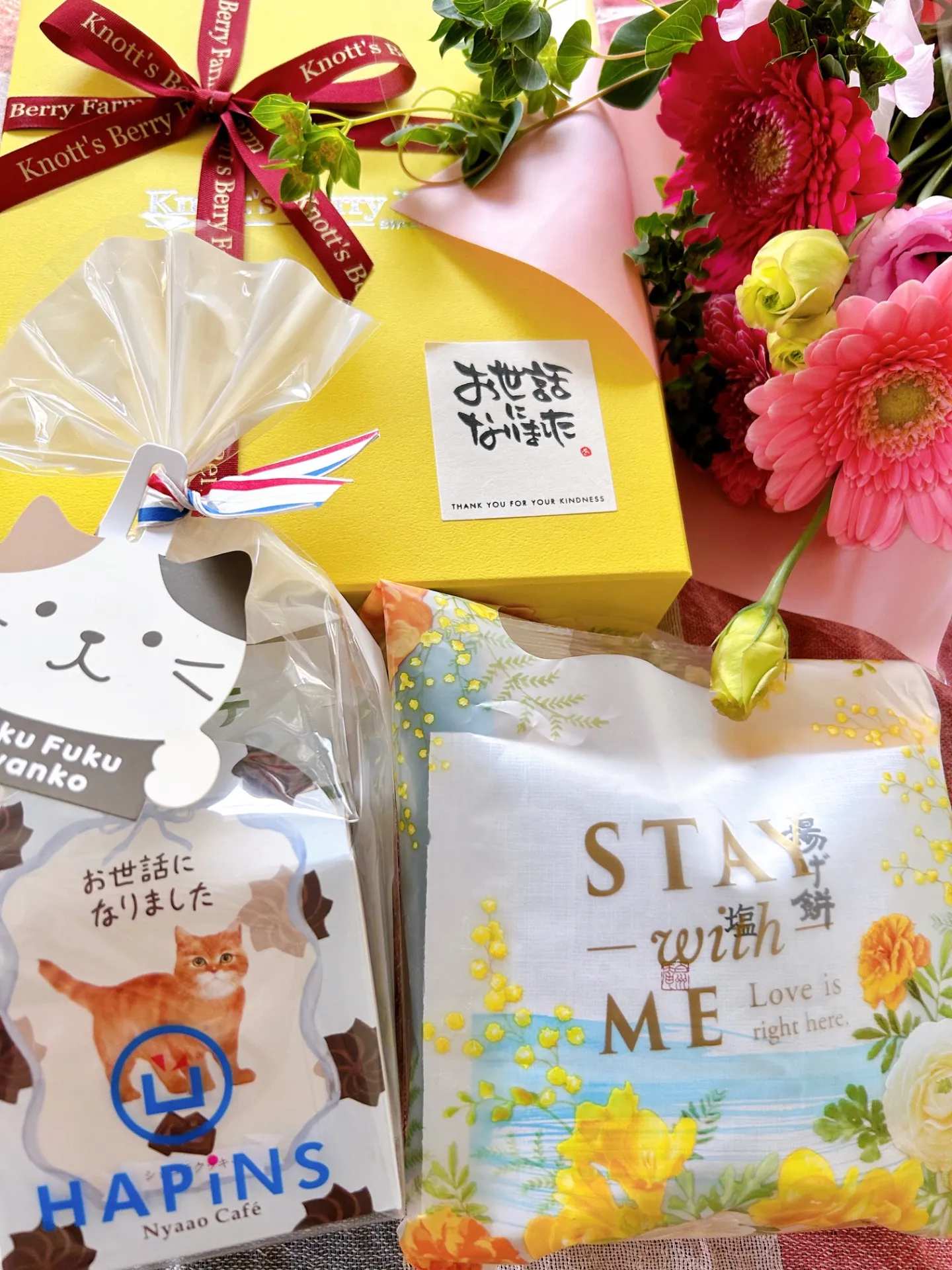 【徳島】子どもプログラミング教室の年度末