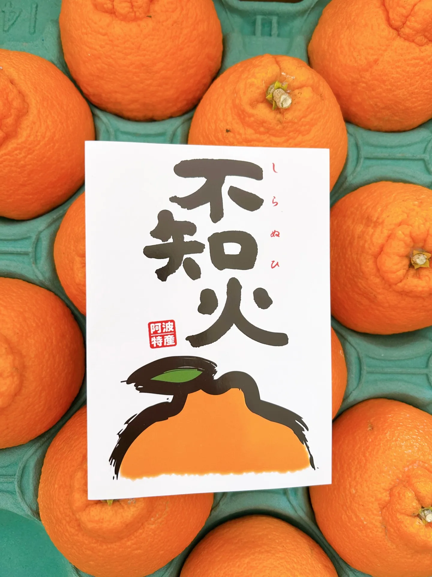 【徳島】子どもプログラミング教室の差し入れ